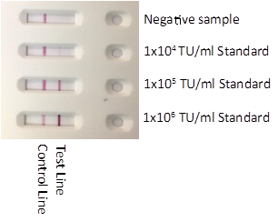 lentivirus-1